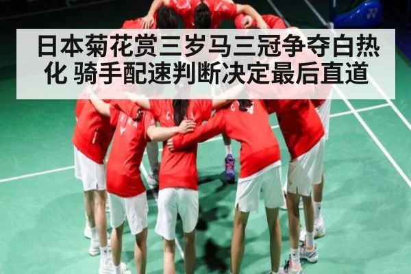 日本菊花赏三岁马三冠争夺白热化 骑手配速判断决定最后直道